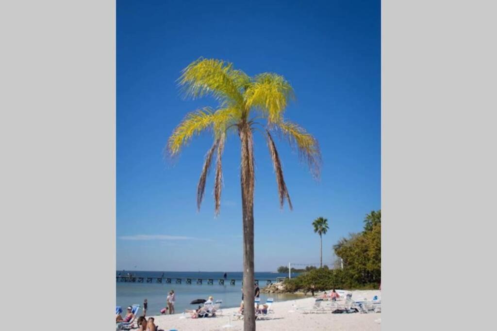 River Delight,Studio109, Beach & Pool Steps Away + Wifi رسكن المظهر الخارجي الصورة